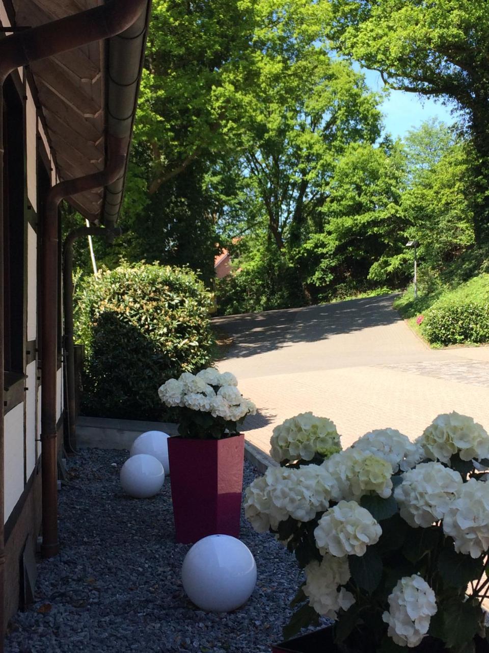 Hotel Niedersaechsischer Hof باد بينثيم المظهر الخارجي الصورة